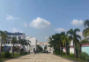 红湾村
