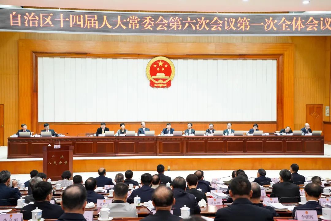自治区十四届人大常委会第六次会议现场