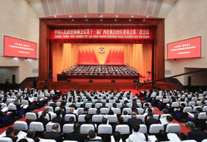 广西壮族自治区政协十三届三次会议举行第二次全体会议